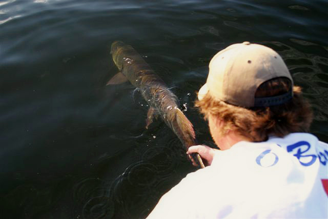 Muskie Fishing Ontario Canada