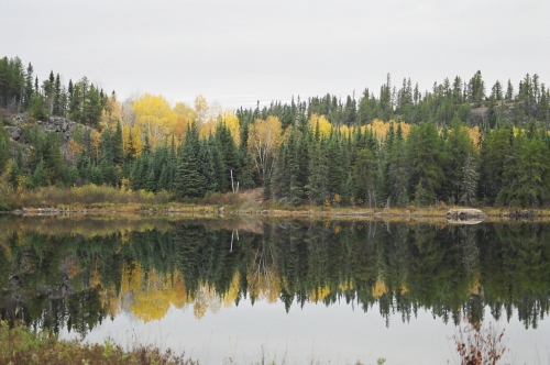 Picture captures the changing colour of the leaves, on a placid Wabaskang Lake.