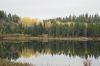 Picture captures the changing colour of the leaves, on a placid Wabaskang Lake.
