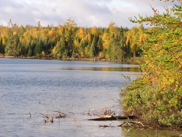 Looks like a great day to get in some fall trout fishing in the Patricia Region. Care to join us?