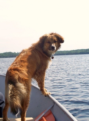 What better way to spend a day fishing on the lake than with your best buddy along in the boat.
