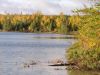 Looks like a great day to get in some fall trout fishing in the Patricia Region.  Care to join us?