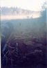 Moose hunting adventure at it's finest in North Western Ontario's great outdoors.  Bet there will be lots of stories at the lodge tonight!