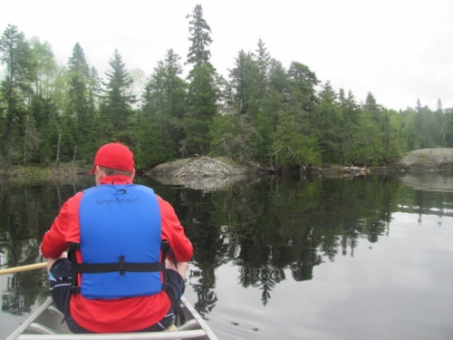 It was a beautiful day to be out canoeing in the Sioux Lookout area. The first stop was a visit to the beaver lodge.