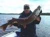 Check out the bite marks on this big Northern Pike.  Wouldn't you like the chance to catch the huge one that was after this big fish?
