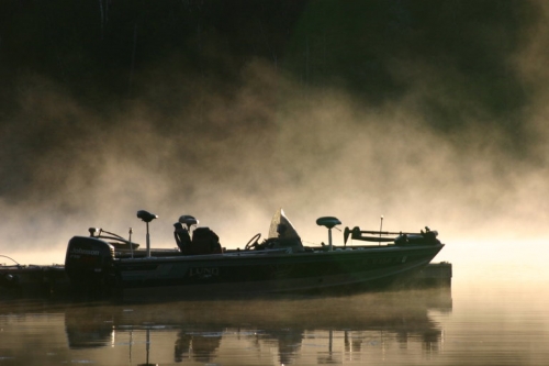 A foggy scene that is picture perfect