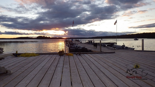 Beautiful shot of Wabaskang Lake. Even Quill can't help but take a stroll on the dock to enjoy the gorgeous view