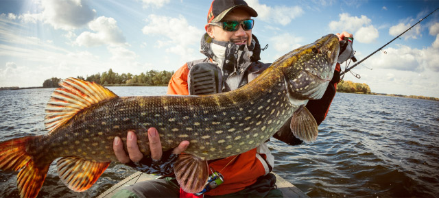 Northwest Ontario northern pike fishing