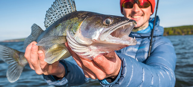 Northwest Ontario walleye fishing