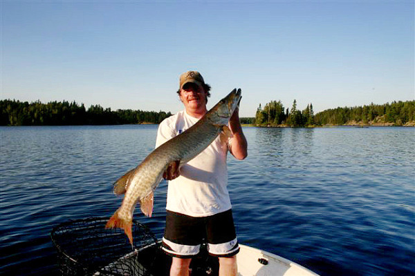 Muskie Fish - Freshwater Apex Predator